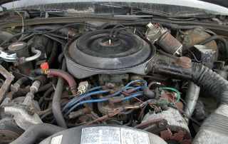 Illustration for article titled Junkyard Finds: 1984 LTD Crown Victoria